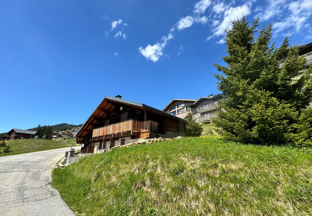 Chalet in Villard-sur-Doron - Chalet