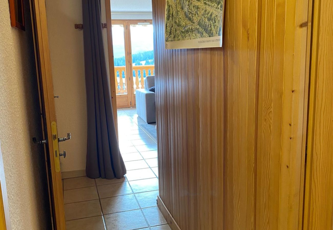 Apartment in Hauteluce - nici flat 50 m from the slopes