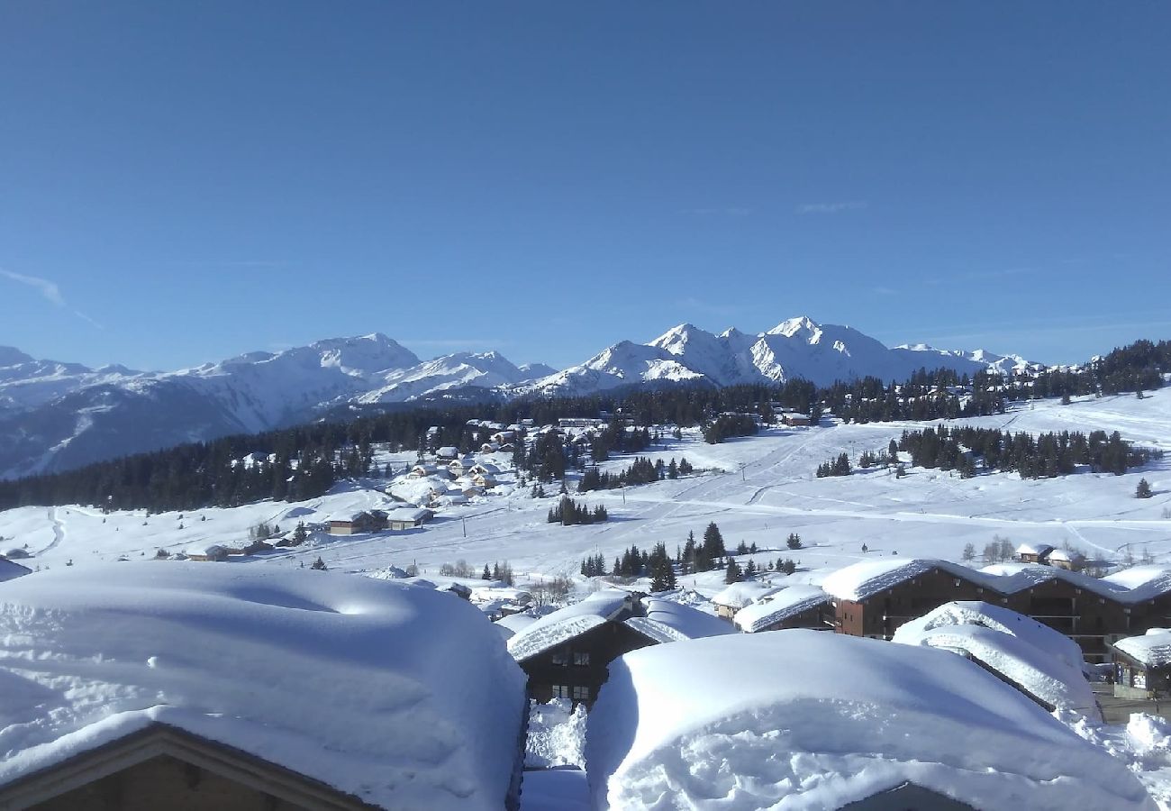 Chalet à Hauteluce - Les Saisies : chalet 14 personnes secteur calme 