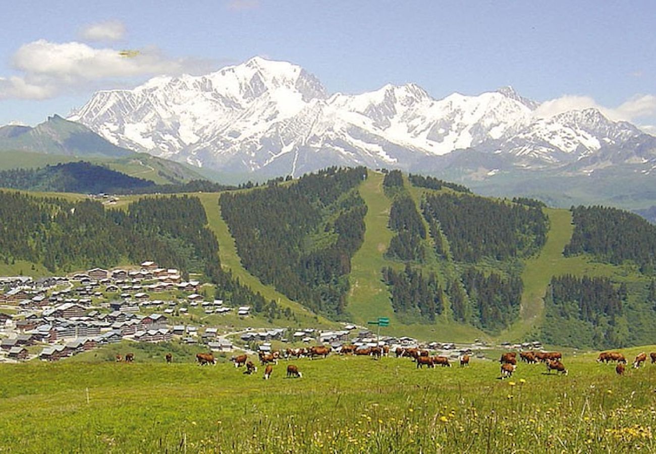 Chalet à Hauteluce - Les Saisies : chalet 14 personnes secteur calme 