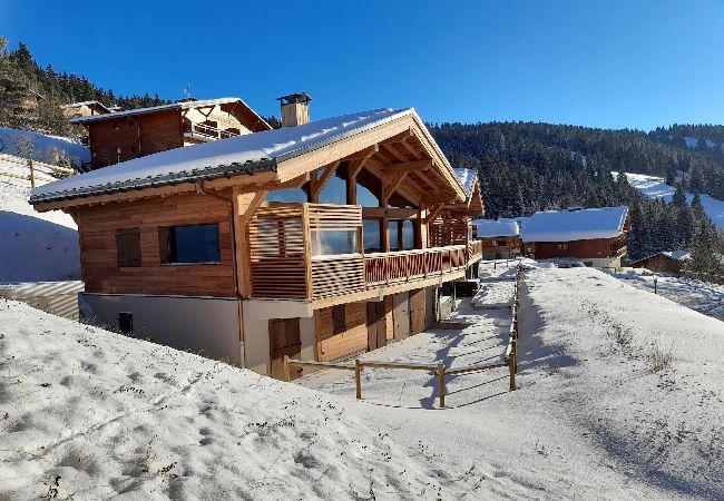 Hauteluce - Chalet