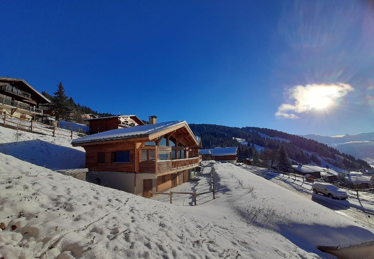 Chalet à Hauteluce - Les Saisies : chalet d'exception 