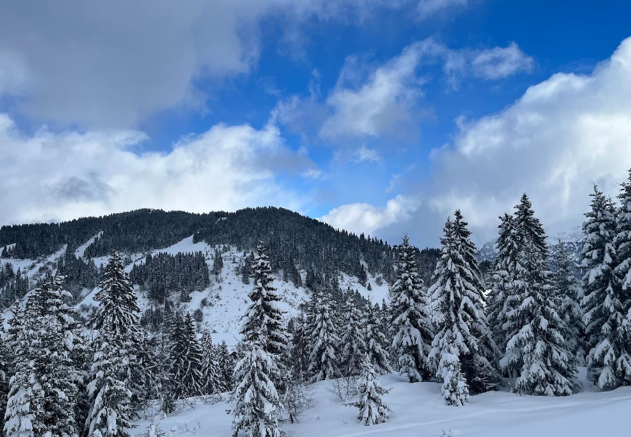 Appartement à Hauteluce - Les Saisies : superbe appartement secteur calme 