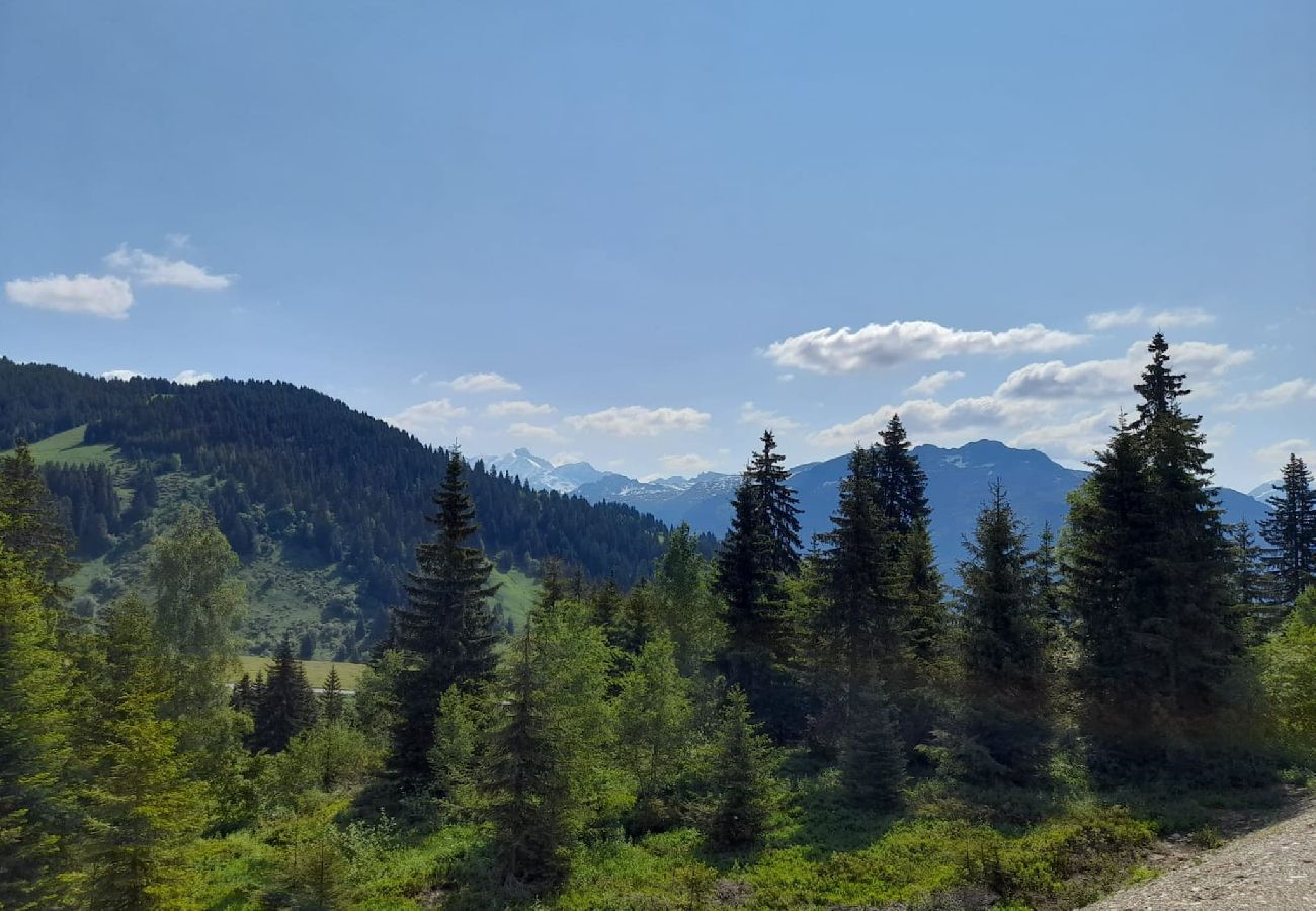 Appartement à Hauteluce - Les Saisies : superbe appartement secteur calme 