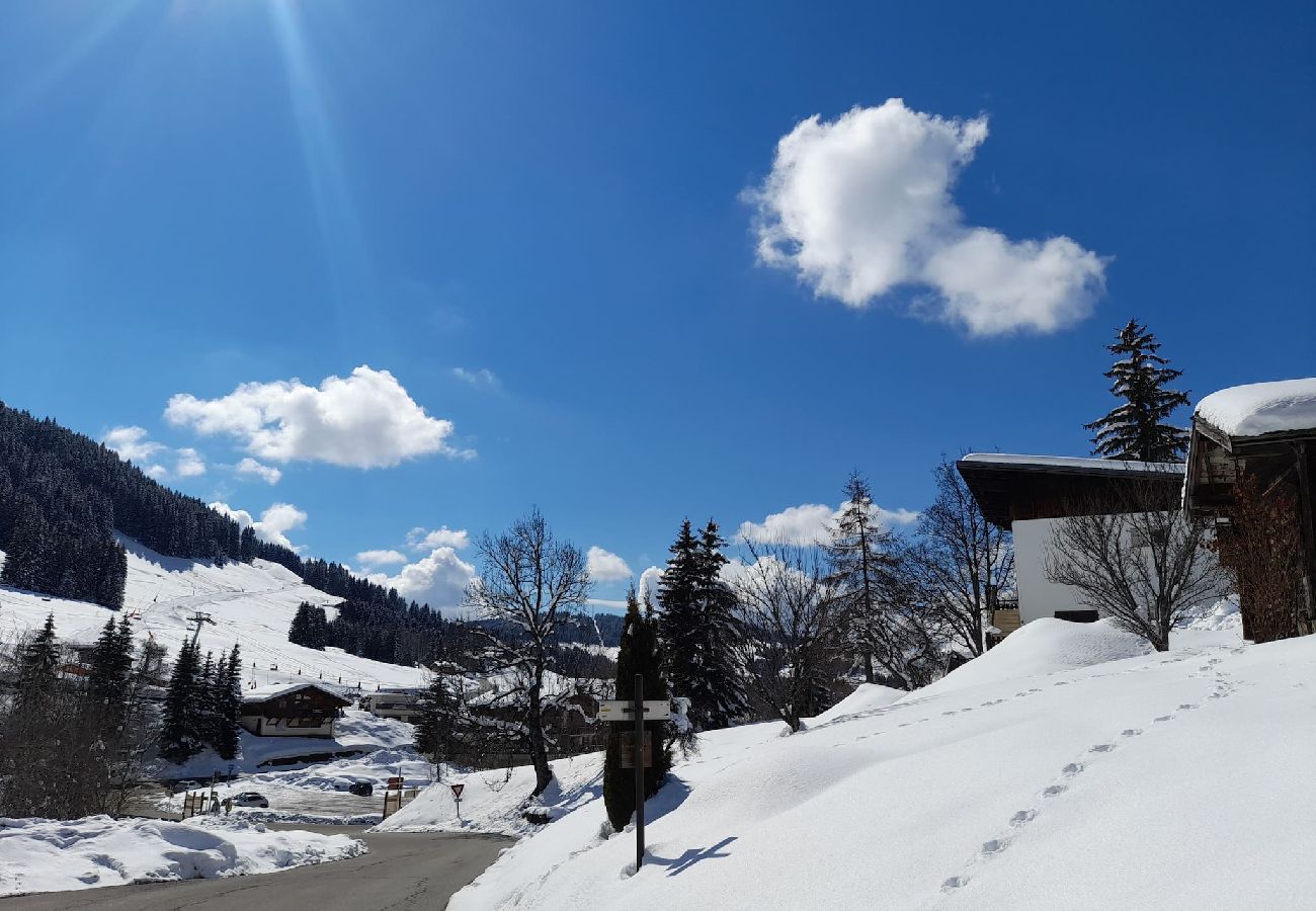 Appartement à Notre-Dame-de-Bellecombe - Appartement 60 m2  dans chalet de montagne 