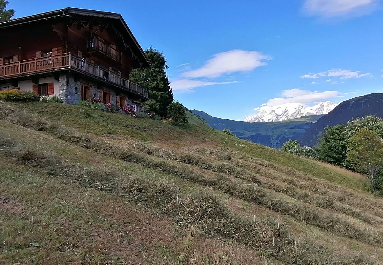 Chalet à Hauteluce - Spacieux chalet 10 pers. vue Mont Blanc