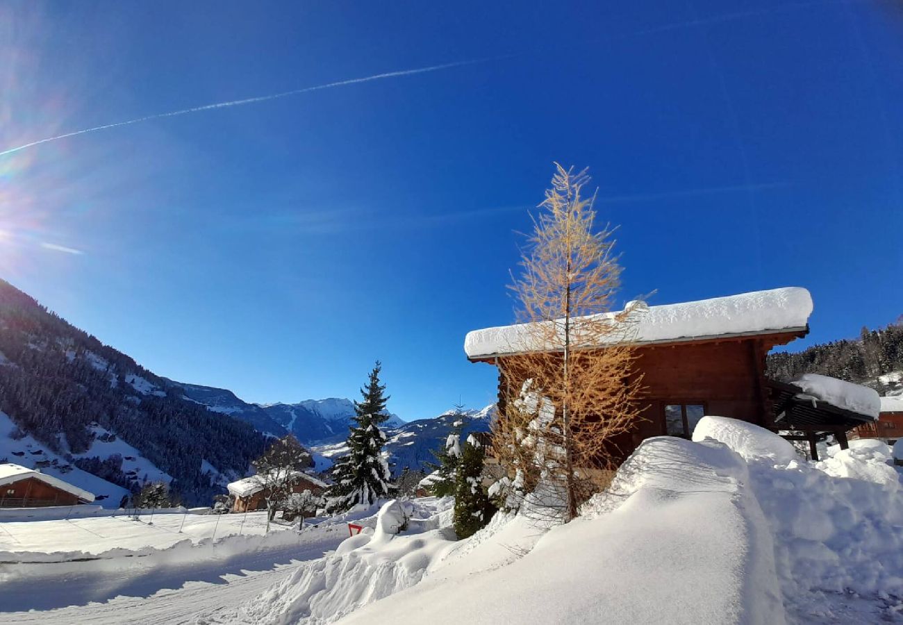 Chalet à Hauteluce - Luxueux chalet à 100m des pistes ! 