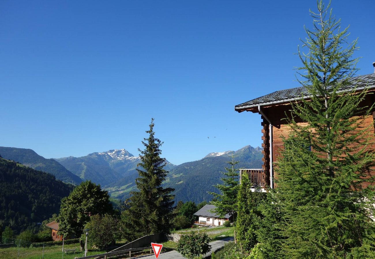 Chalet à Hauteluce - Luxueux chalet à 100m des pistes ! 