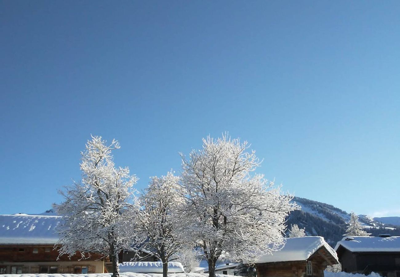 Chalet à Notre-Dame-de-Bellecombe - Chalet 20 pers à 300 m des pistes et ESF 