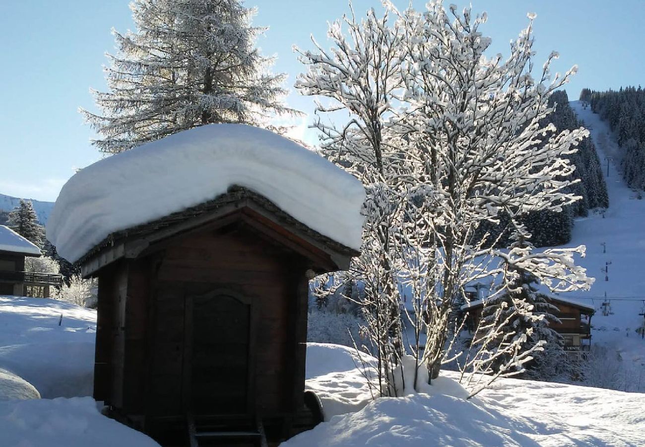 Chalet à Notre-Dame-de-Bellecombe - Chalet 20 pers à 300 m des pistes et ESF 