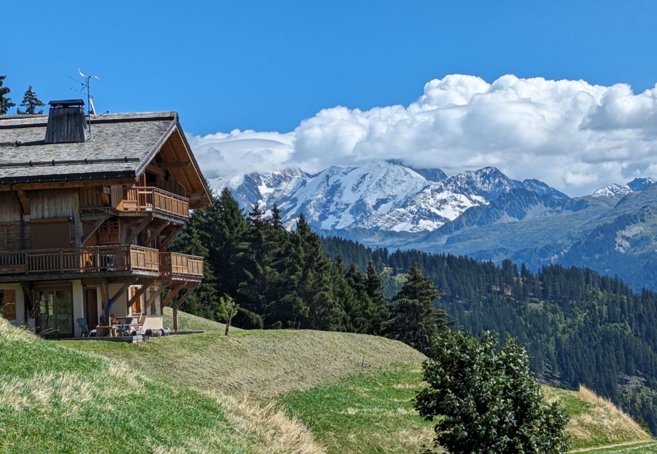 Appartement à Villard-sur-Doron - Lumineux appartement Bisanne1500 