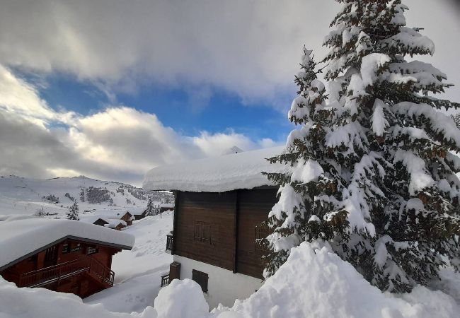 Hauteluce - Appartement