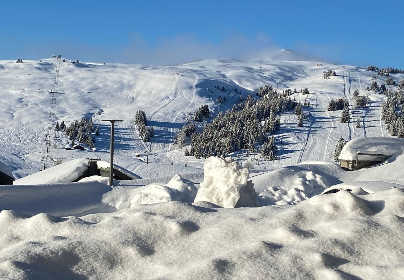 Résidence à Hauteluce - Magnifique appartement aux pieds des pistes de ski 