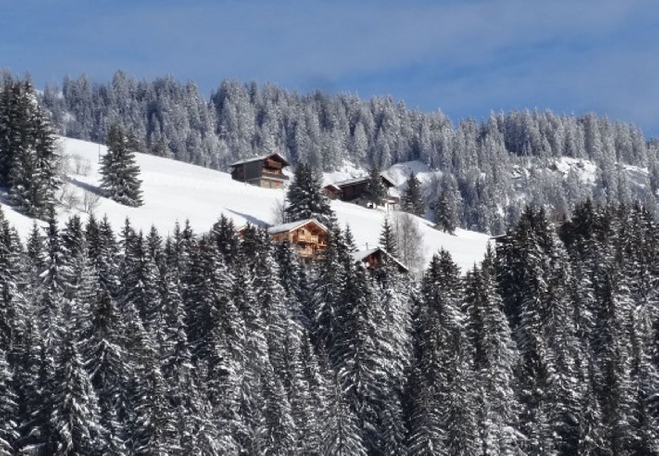 Chalet à Villard-sur-Doron - Chalet de luxe 14 pers. proche Les Saisies 