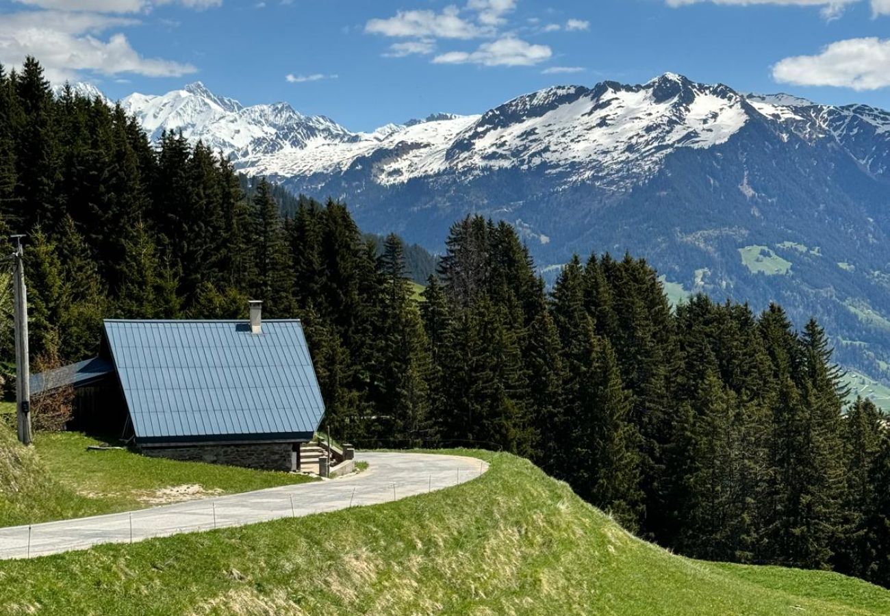 Chalet à Villard-sur-Doron - Chalet typique  à 100 m des pistes