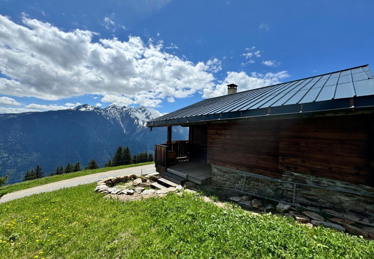 Chalet à Villard-sur-Doron - Chalet typique  à 100 m des pistes