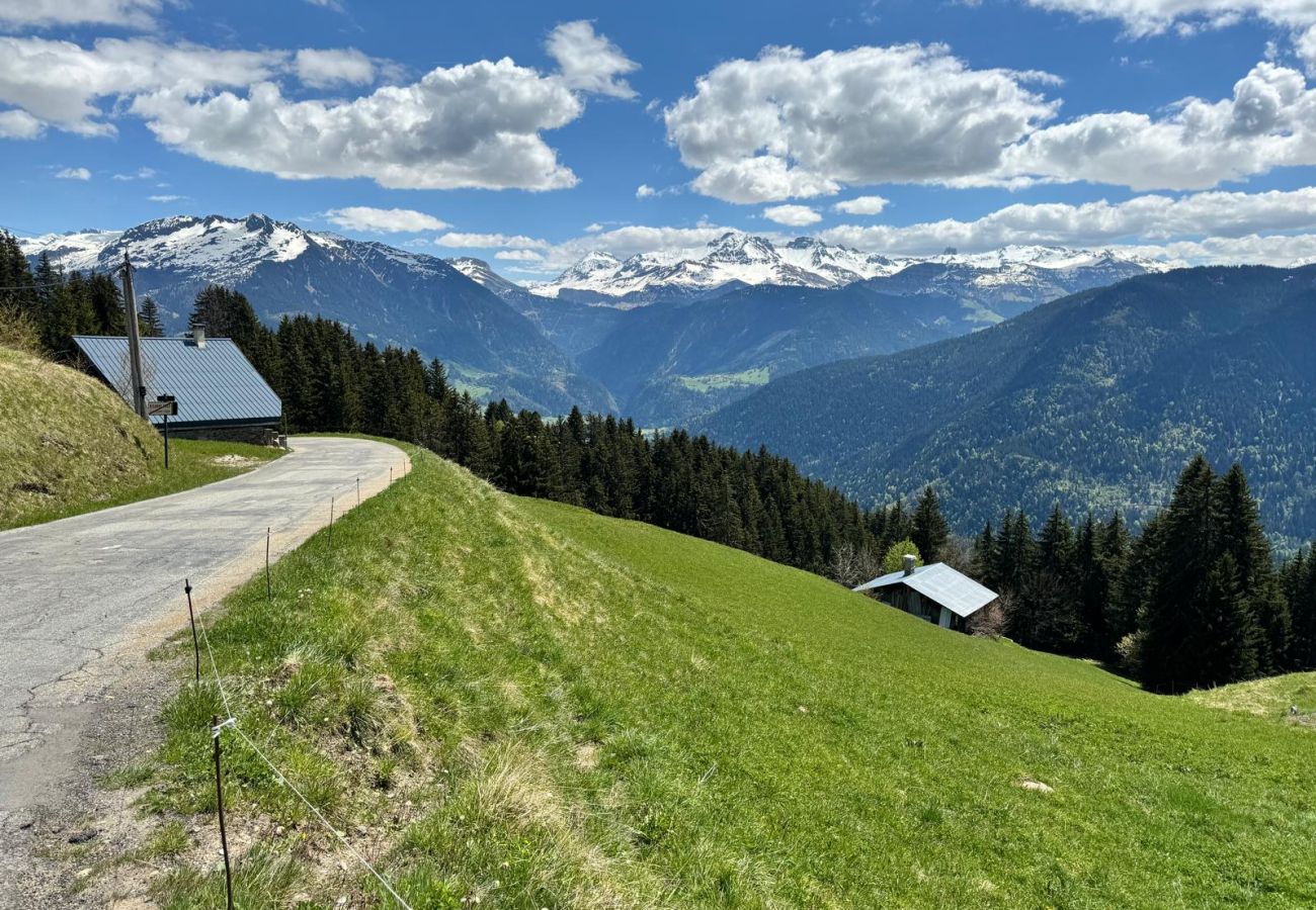 Chalet à Villard-sur-Doron - Chalet typique  à 100 m des pistes