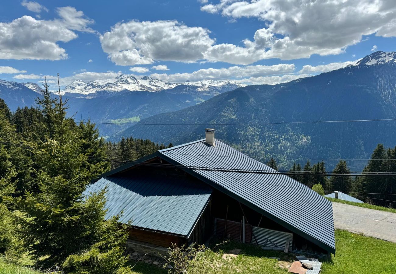 Chalet à Villard-sur-Doron - Chalet typique  à 100 m des pistes