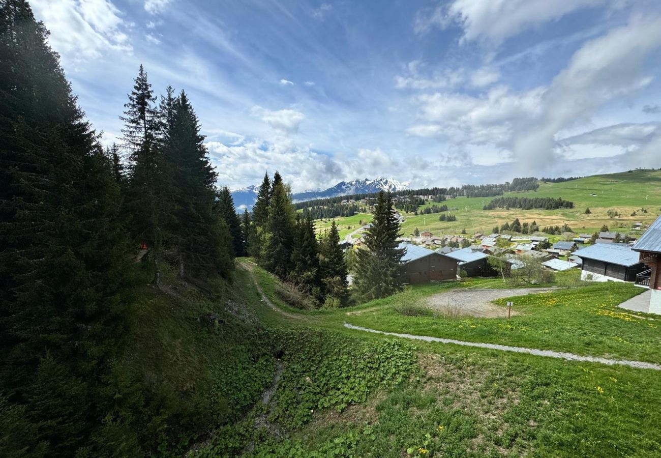 Appartement à Hauteluce - Les Saisies ; superbe appartement 10 pers