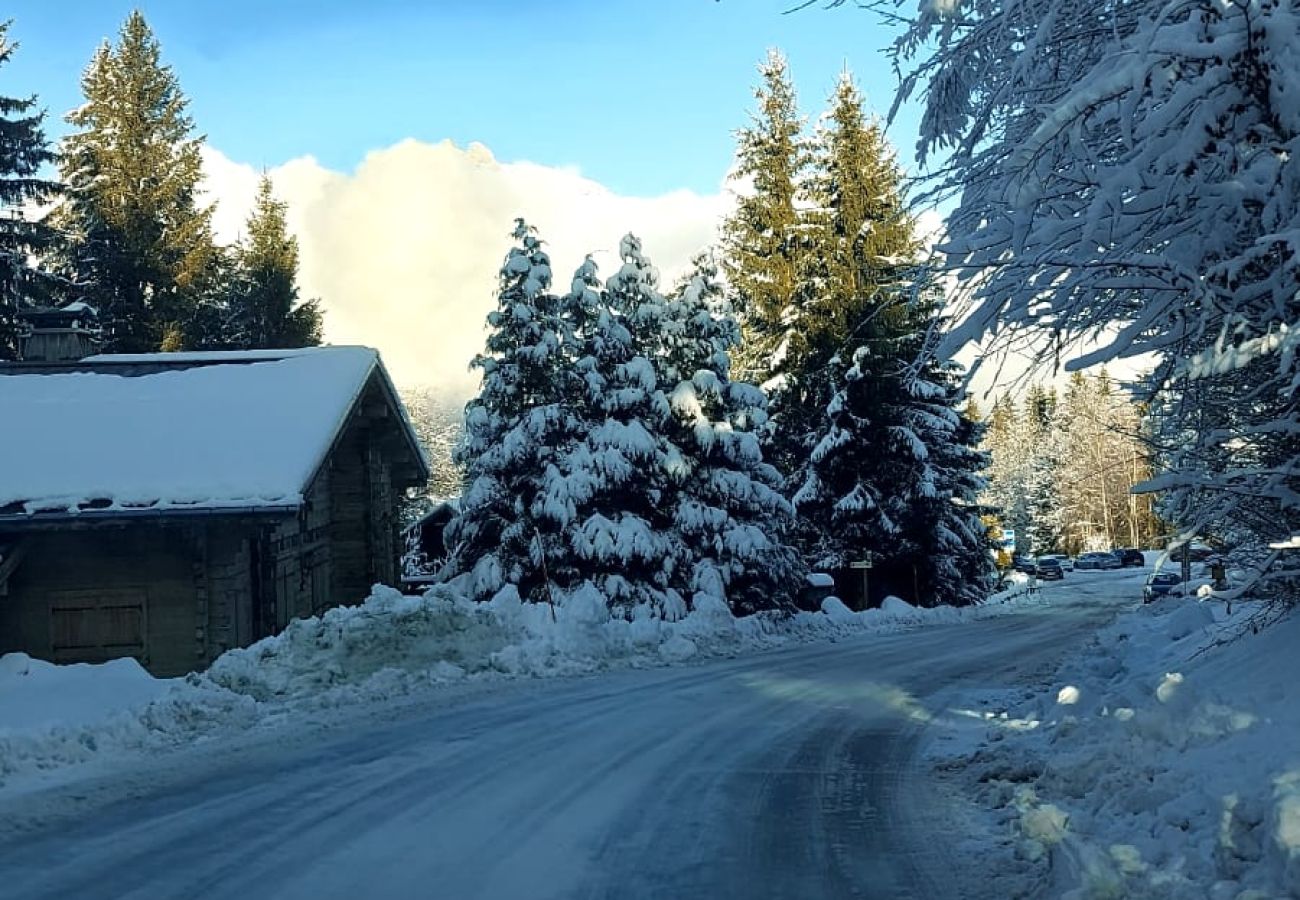 Appartement à Combloux - Bel appartement au calme mais proche des pistes de Combloux !