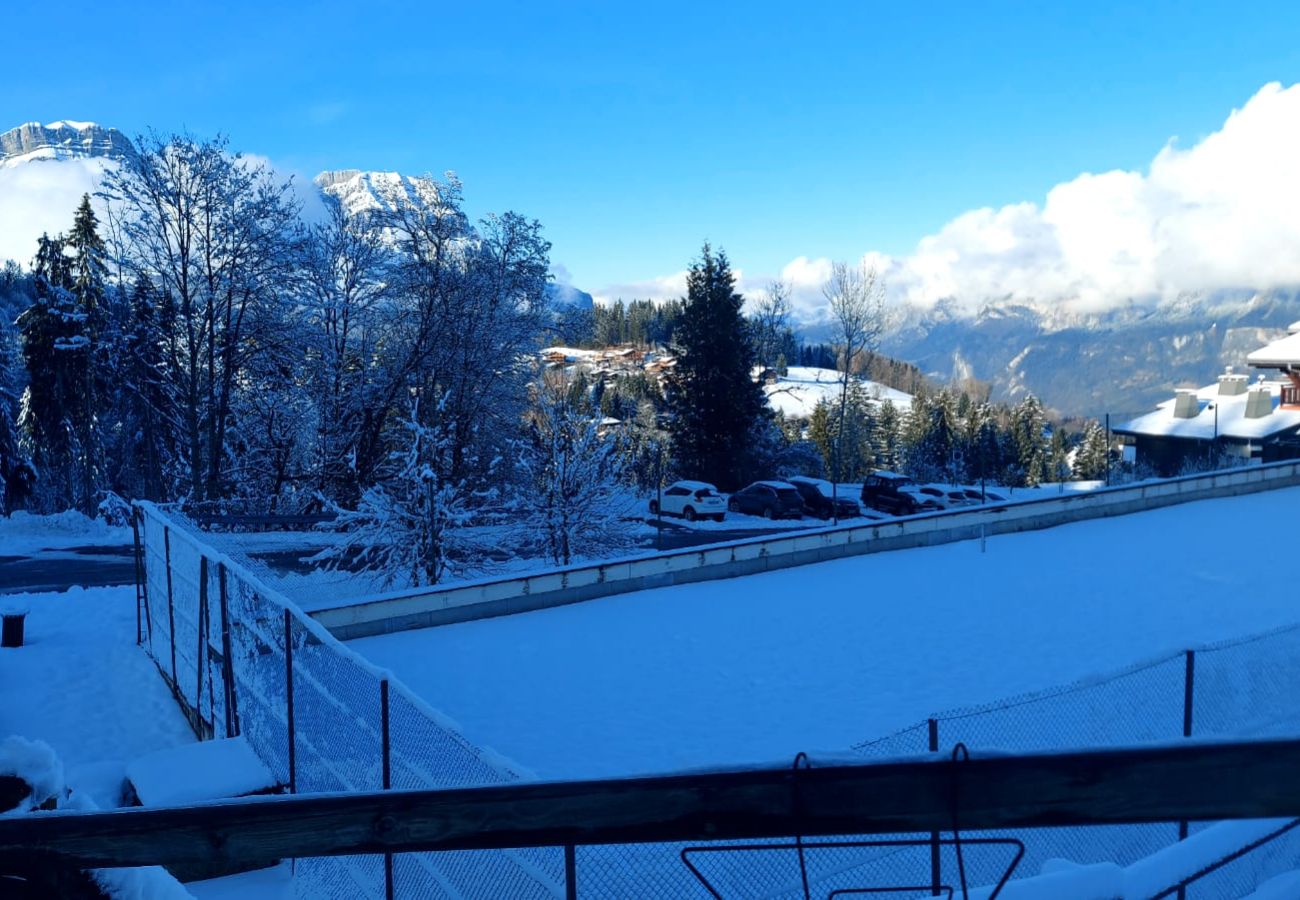 Appartement à Combloux - Bel appartement au calme mais proche des pistes de Combloux !