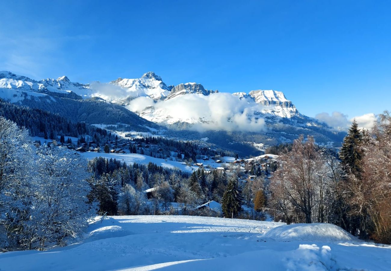 Appartement à Combloux - Bel appartement au calme mais proche des pistes de Combloux !