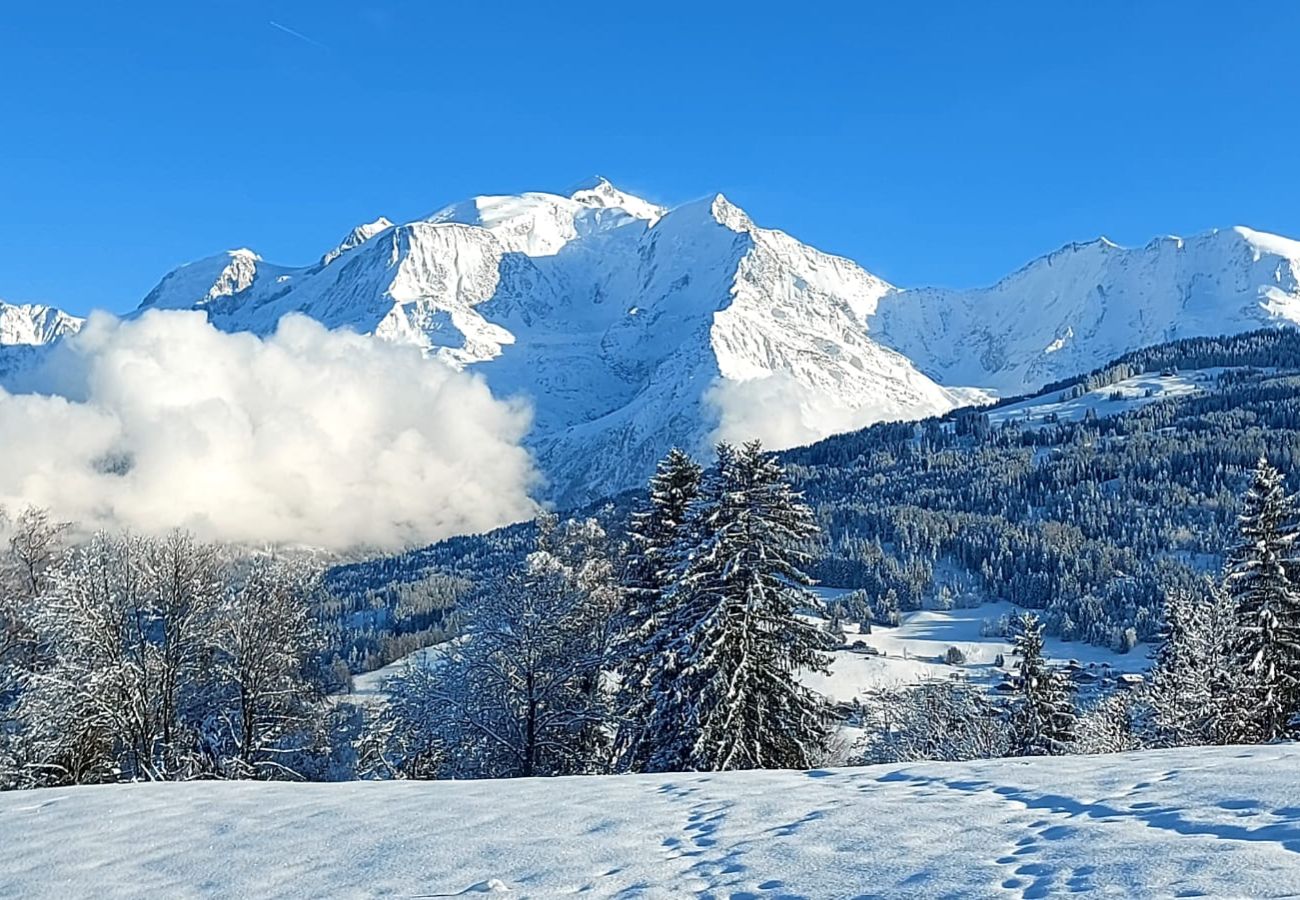 Appartement à Combloux - Bel appartement au calme mais proche des pistes de Combloux !