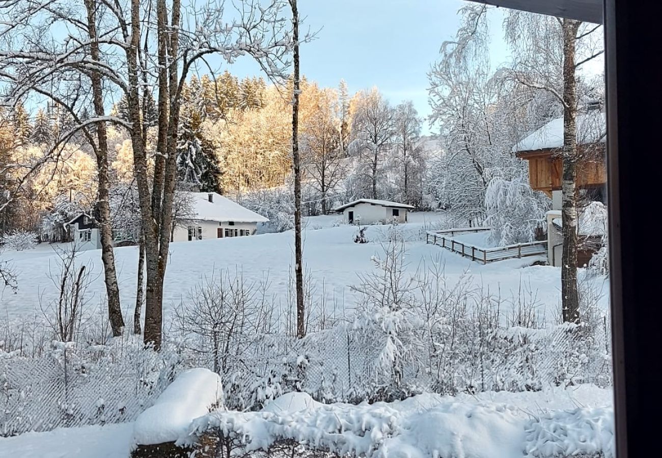 Appartement à Combloux - Bel appartement au calme mais proche des pistes de Combloux !