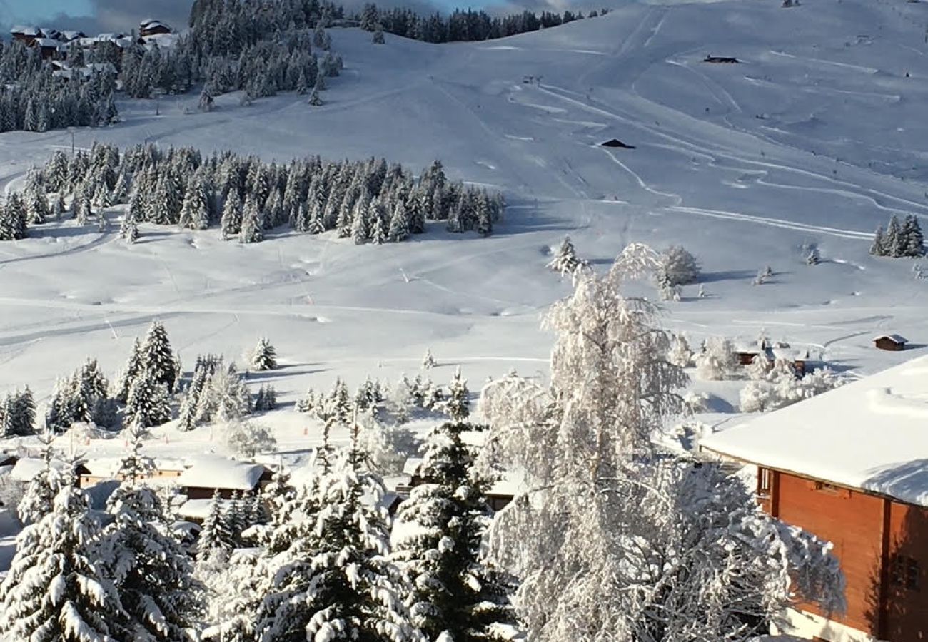 Appartement à Hauteluce - Les Saisies :  appartement familiale avec grande terrasse, skis aux pieds !