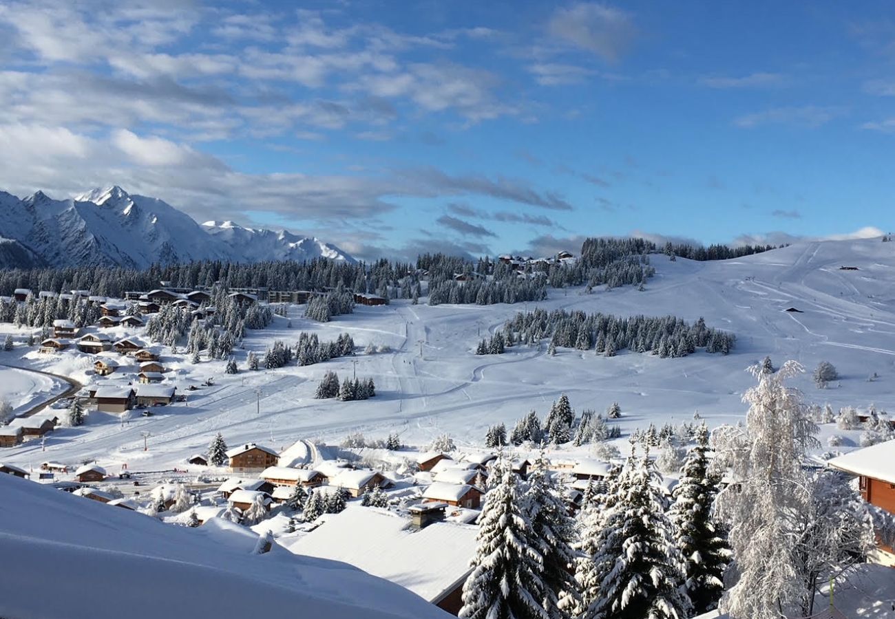 Appartement à Hauteluce - Les Saisies :  appartement familiale avec grande terrasse, skis aux pieds !