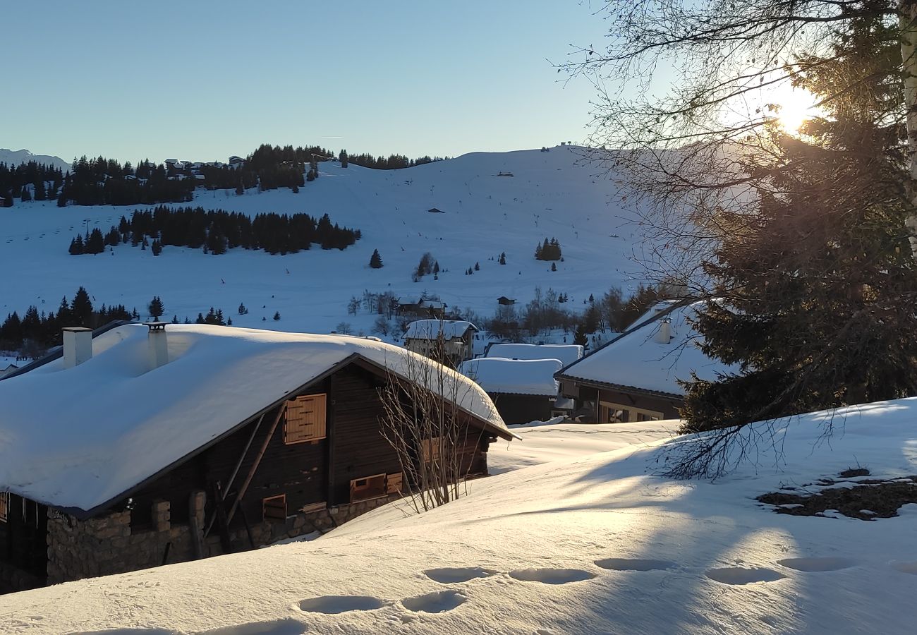 Appartement à Hauteluce - Les saisies : lumineux appartement proche des pistes !