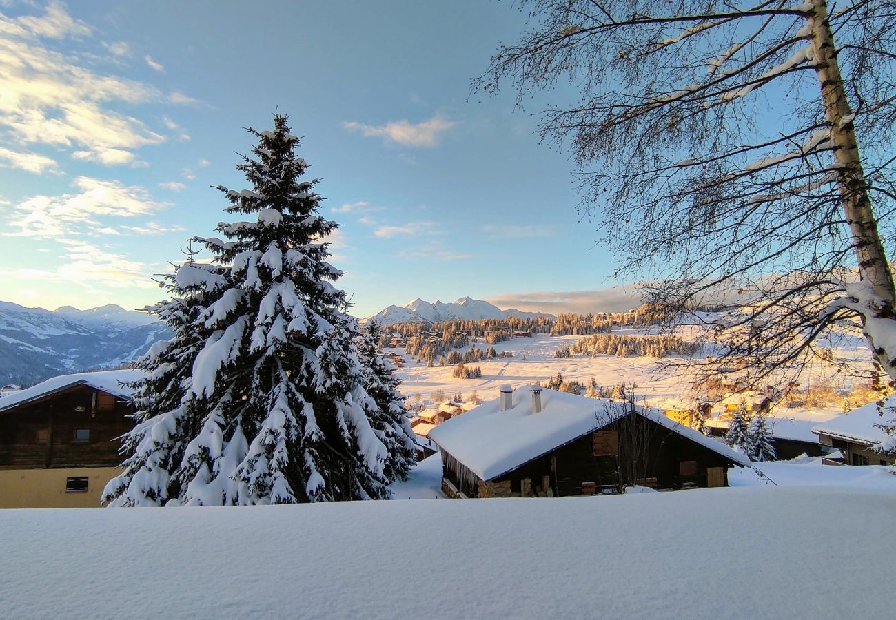 Appartement à Hauteluce - Les saisies : lumineux appartement proche des pistes !